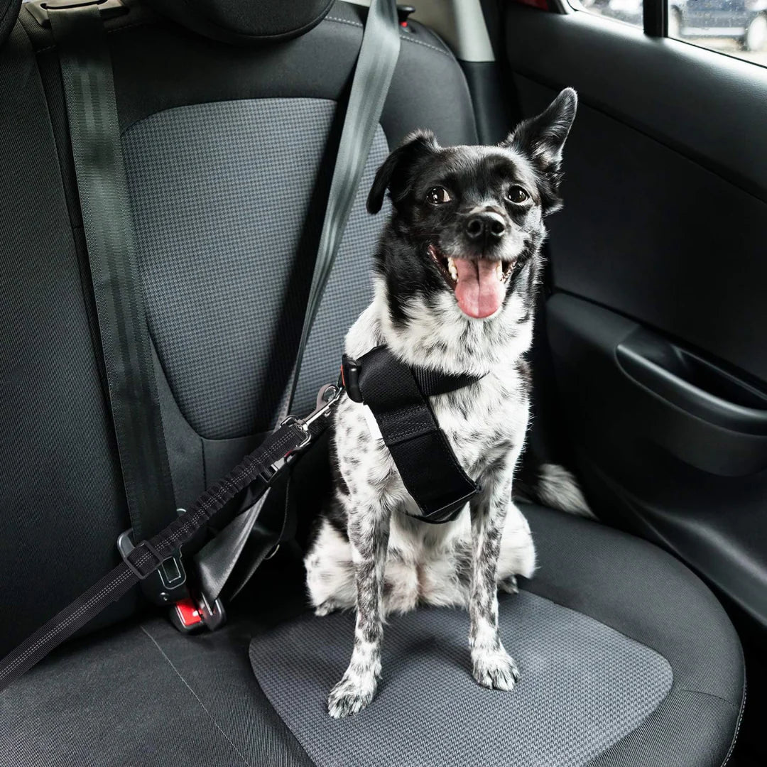 CozyRider™  Hund Bilbälte