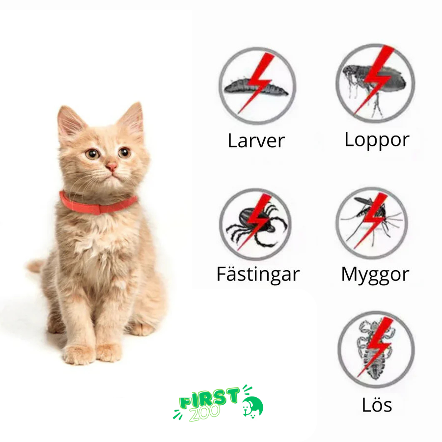 Fästinghalsband – 100% Naturligt Fästingskydd för katt