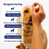 Apotek Hunden - 3-i-1 probiotika, der løser din hunds mave-, hud- og energiproblemer