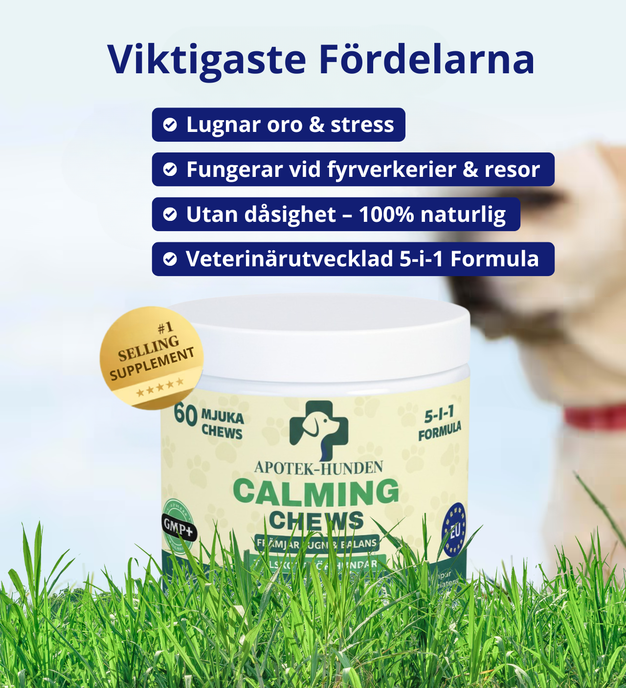 Apotek Hunden - 5-i-1 Calming Chews Som Lugnar Din Hunds Stress, Ångest & Rädsla