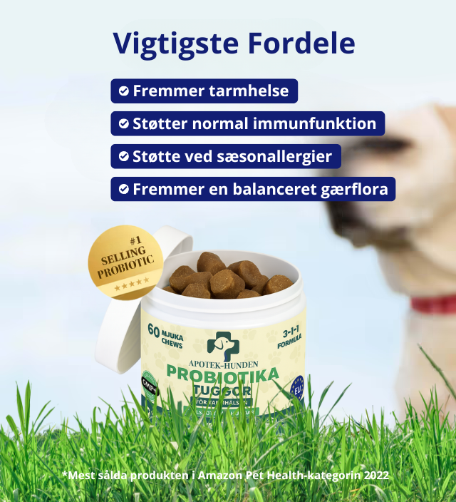 Apotek Hunden - 3-i-1 probiotika, der løser din hunds mave-, hud- og energiproblemer