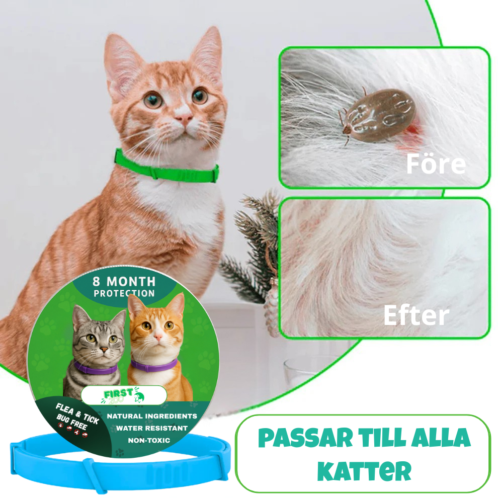 Fästinghalsband – 100% Naturligt Fästingskydd för katt Blå