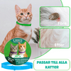 Fästinghalsband – 100% Naturligt Fästingskydd för katt Blå