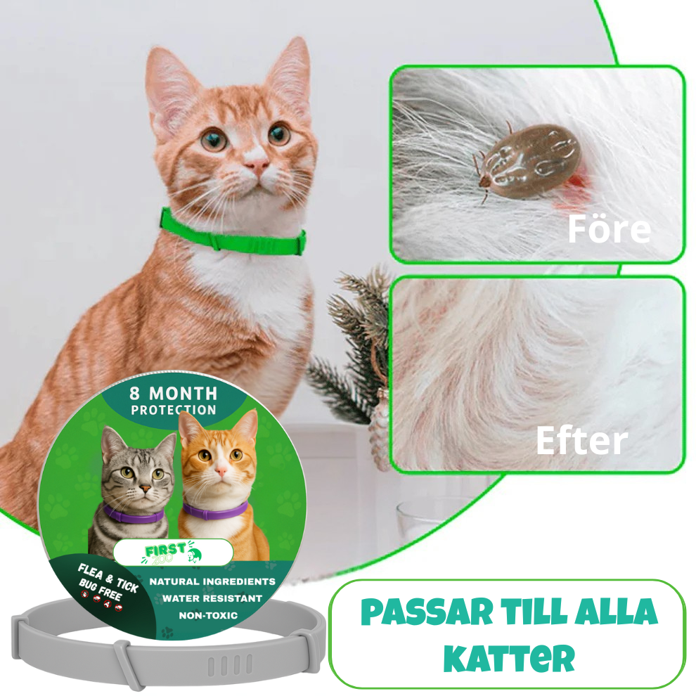 Fästinghalsband – 100% Naturligt Fästingskydd för katt Grå