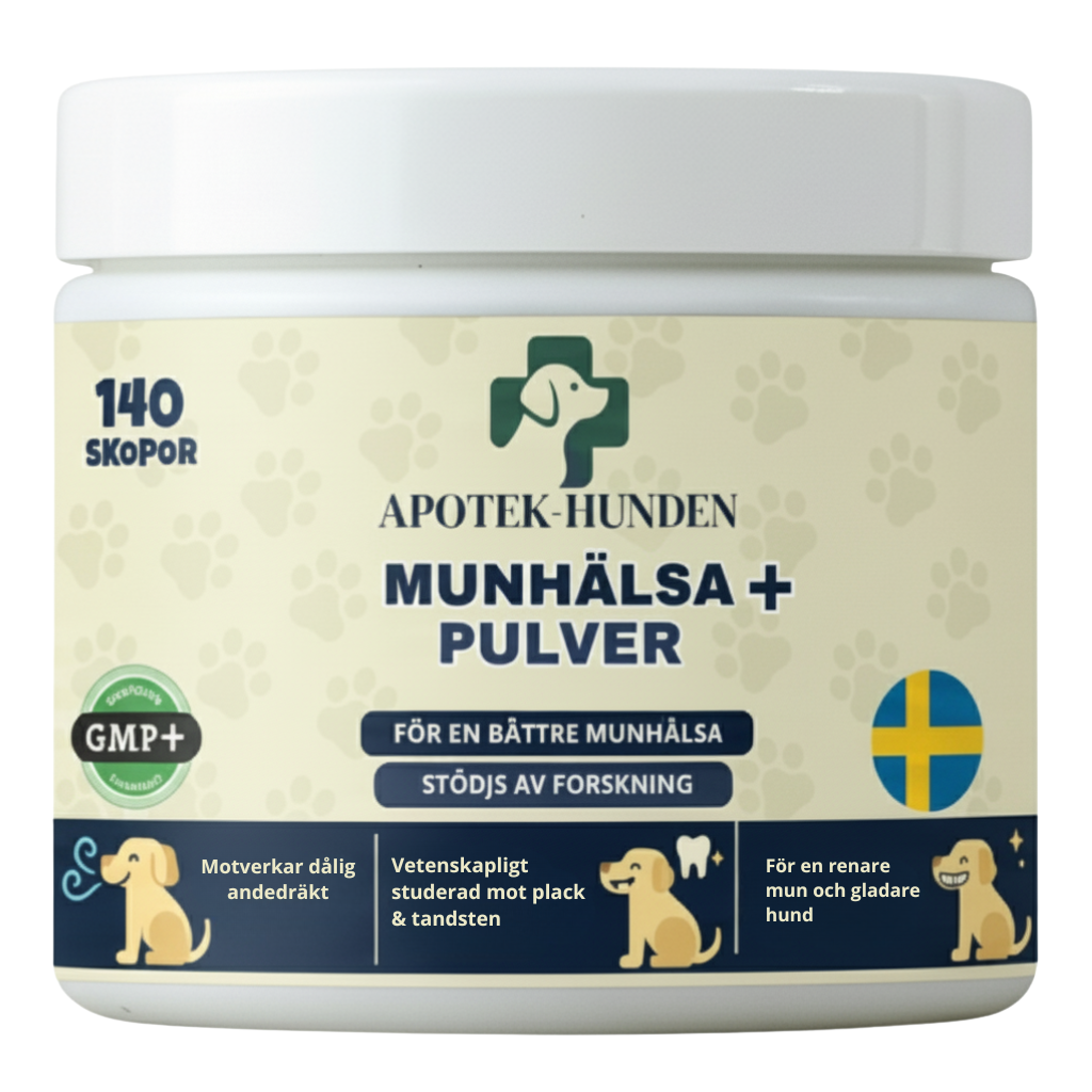 MUNHÄLSA+ Kelp Pulver för Hundar