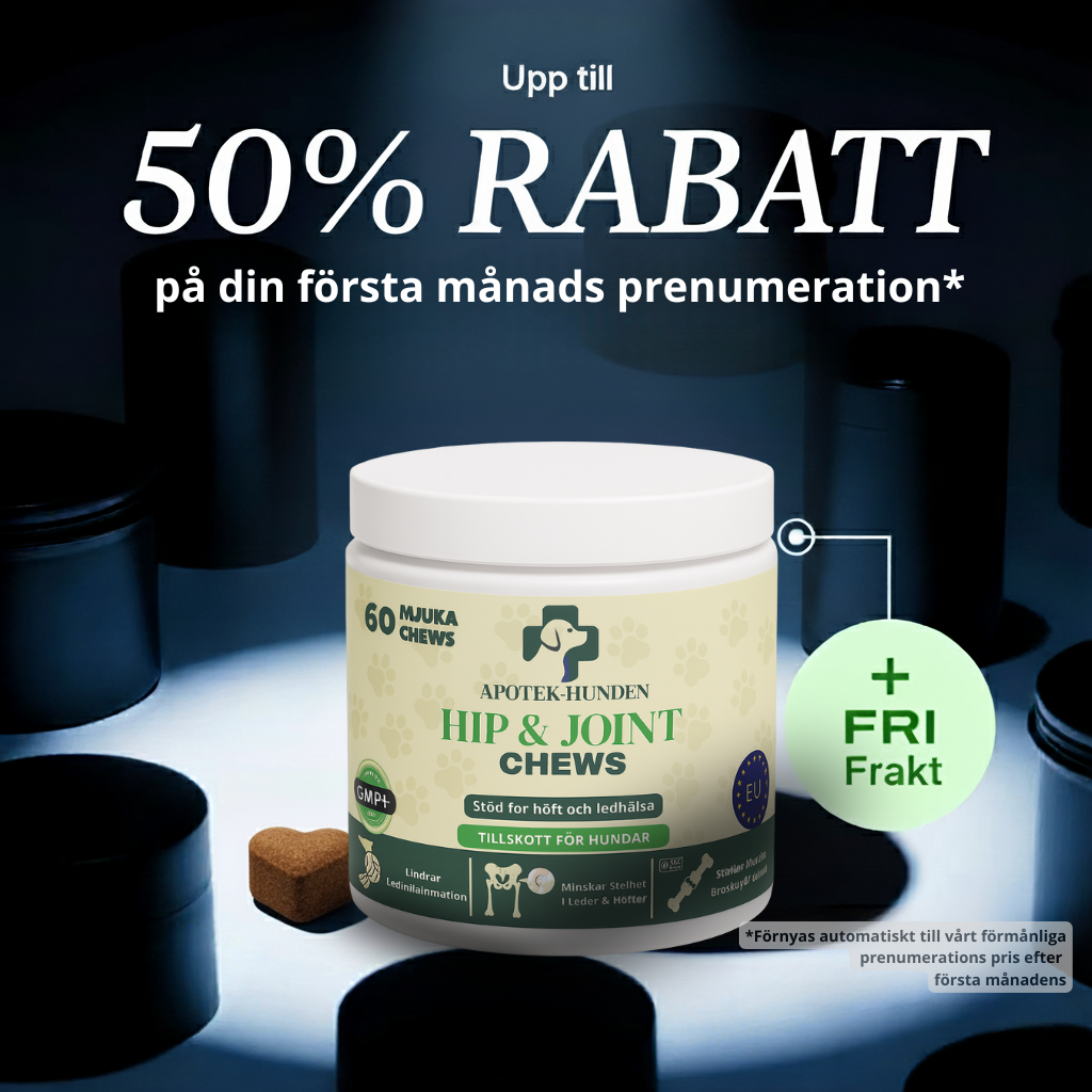 Apotek Hunden - 3-i-1 leddtilskudd som støtter hundens mobilitet, komfort og livsglede 