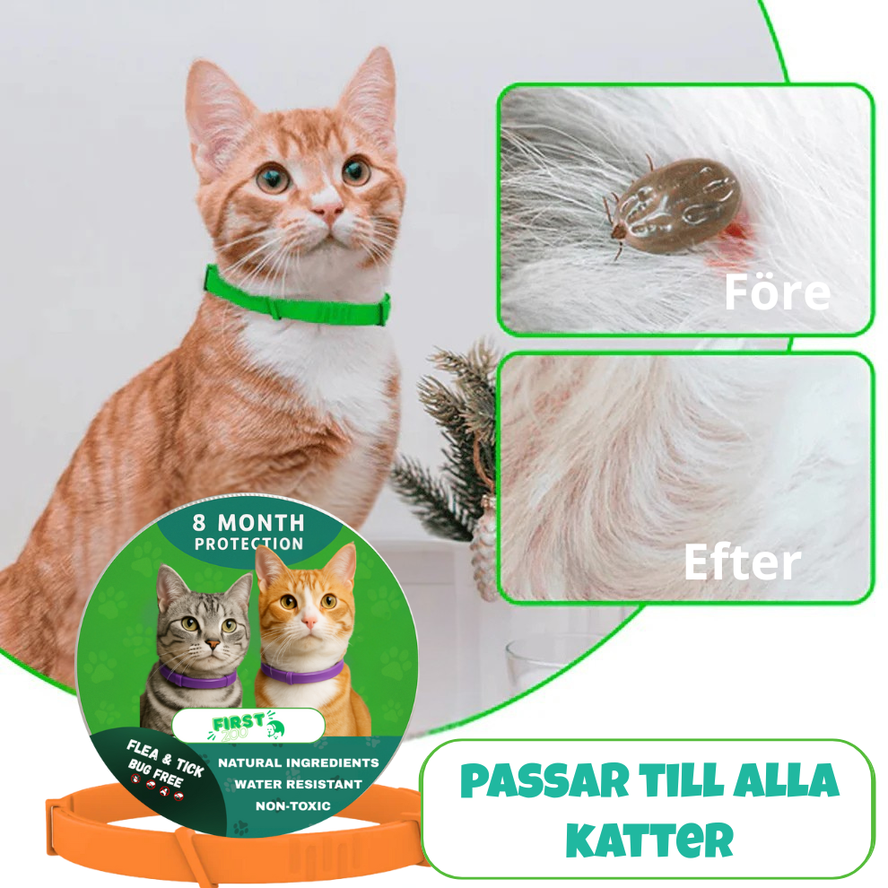 Fästinghalsband – 100% Naturligt Fästingskydd för katt Orange