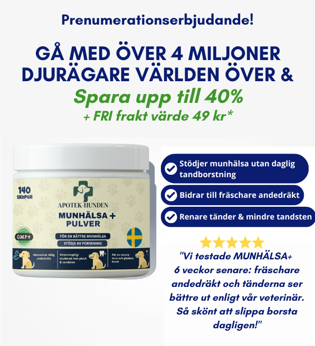 MUNHÄLSA+ Kelp Pulver för Hundar