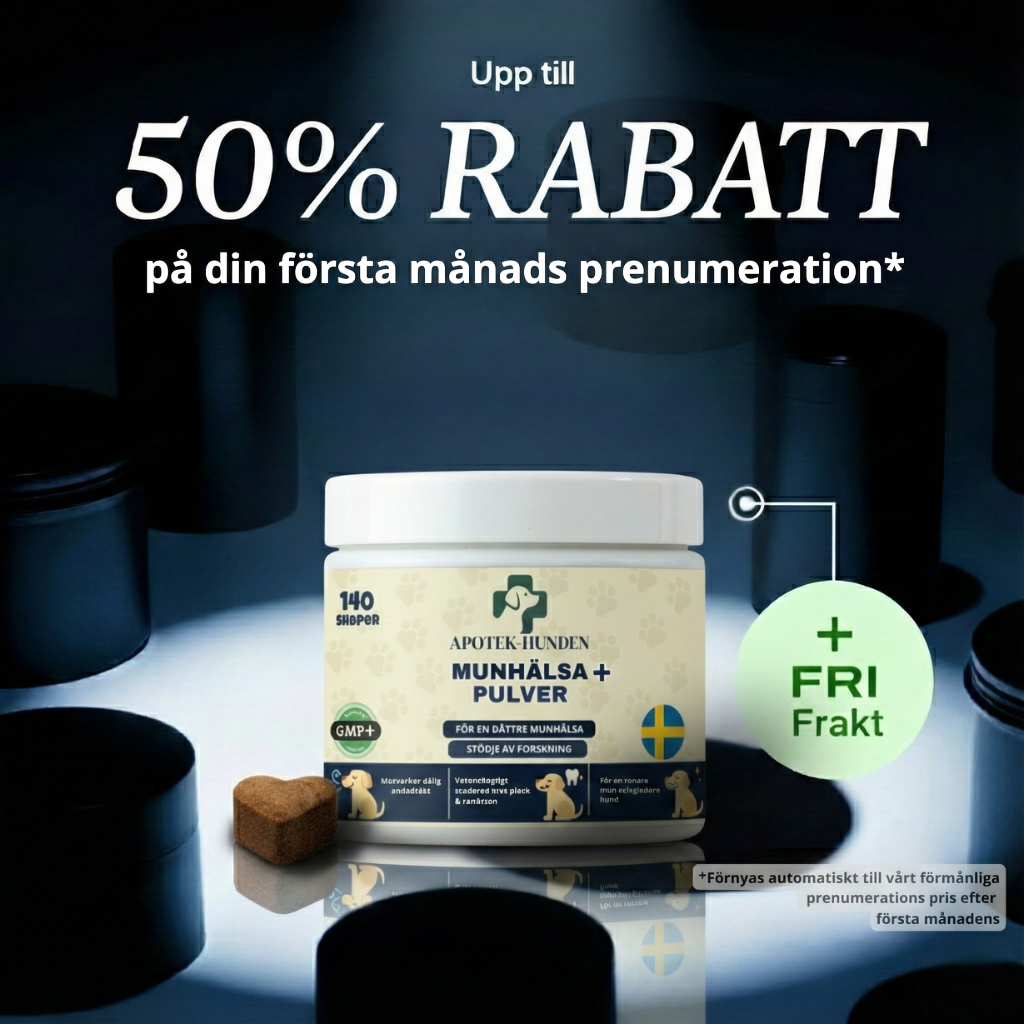 MUNHÄLSA+ Kelp Pulver för Hundar