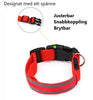 Glow Collar™ – Upplyst halsband