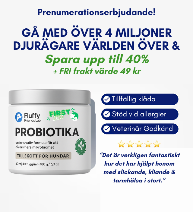 3-i-1 Probiotika Som Löser Din Hunds Mag-, Hud- & Energiproblem