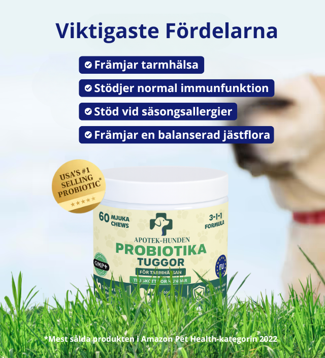 Apotek Hunden - 3-i-1 Probiotika Som Löser Din Hunds Mag-, Hud- & Energiproblem