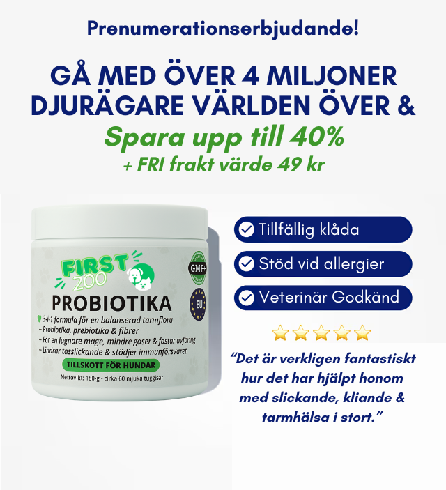 3-i-1 Probiotika Som Löser Din Hunds Mag-, Hud- & Energiproblem