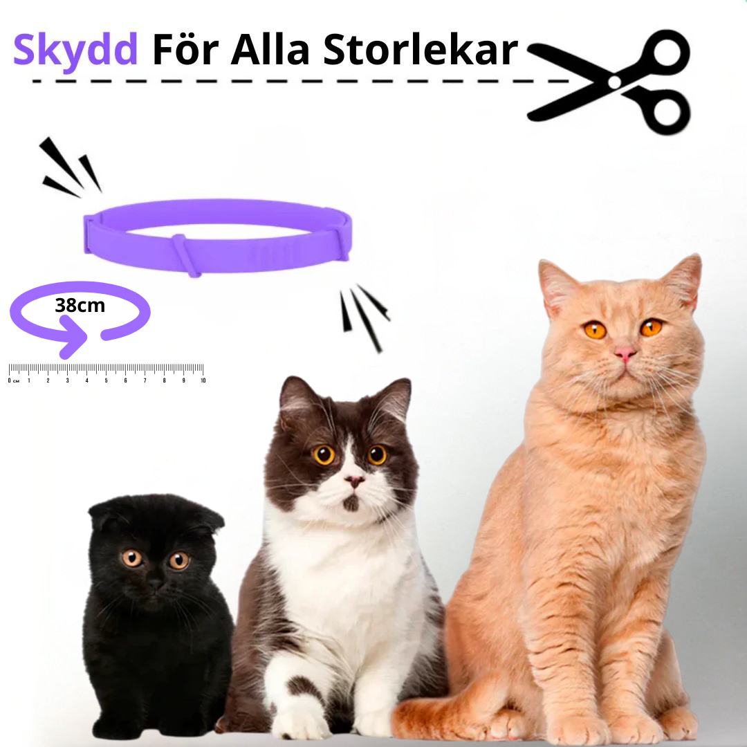 Fästinghalsband – 100% Naturligt Fästingskydd för katt