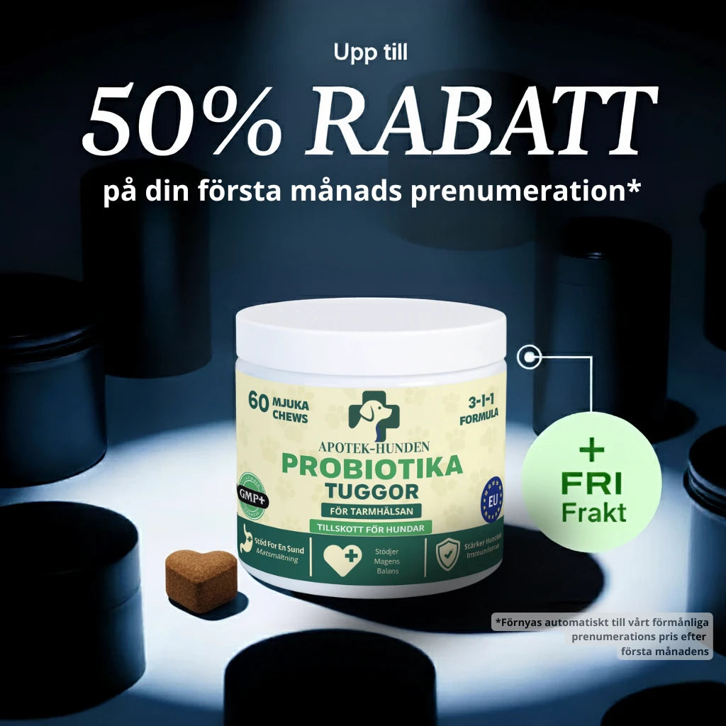 Apotek Hunden - 3-i-1 Probiotika Som Löser Din Hunds Mag-, Hud- & Energiproblem