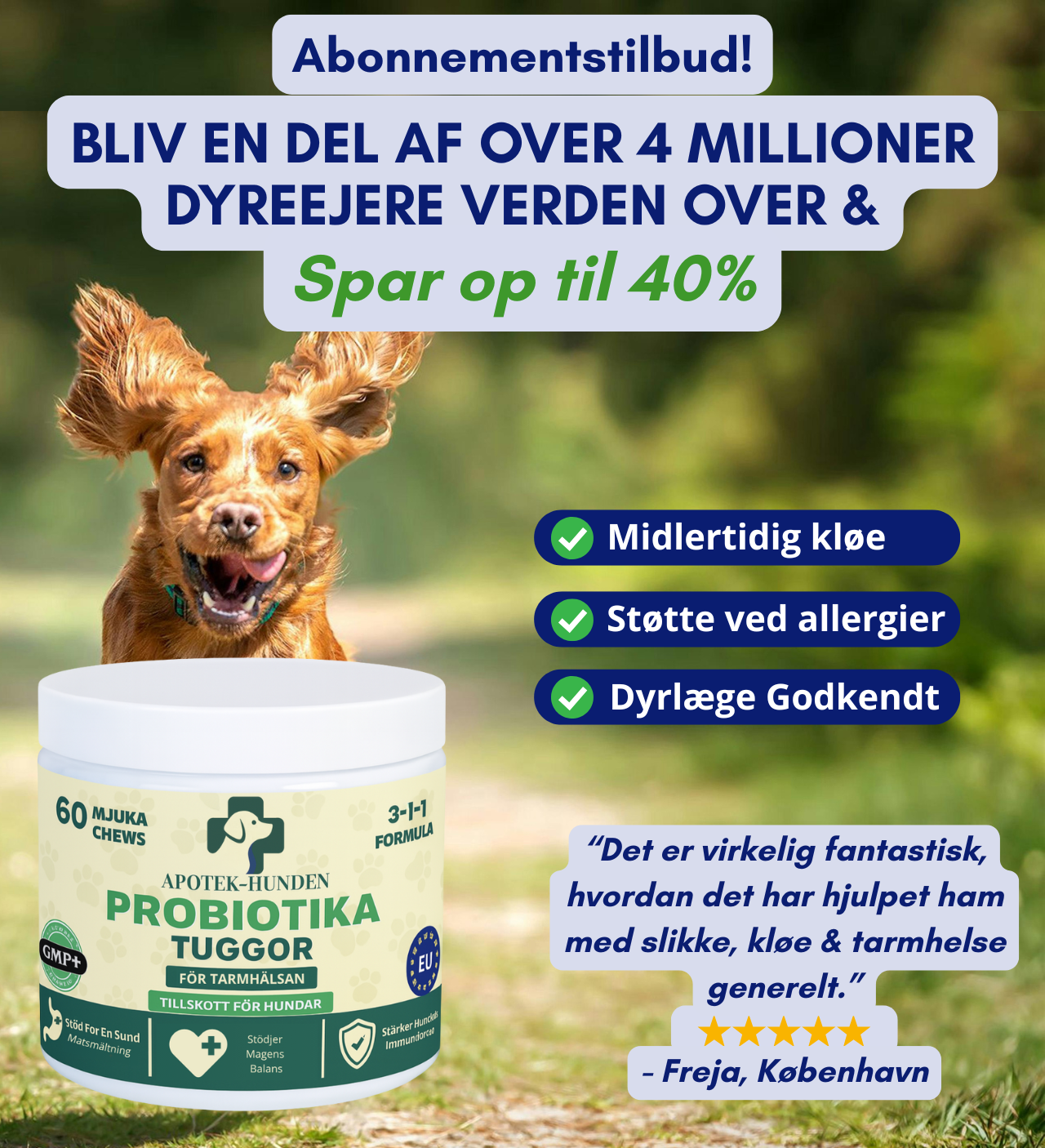 Apotek Hunden - 3-i-1 probiotika, der løser din hunds mave-, hud- og energiproblemer