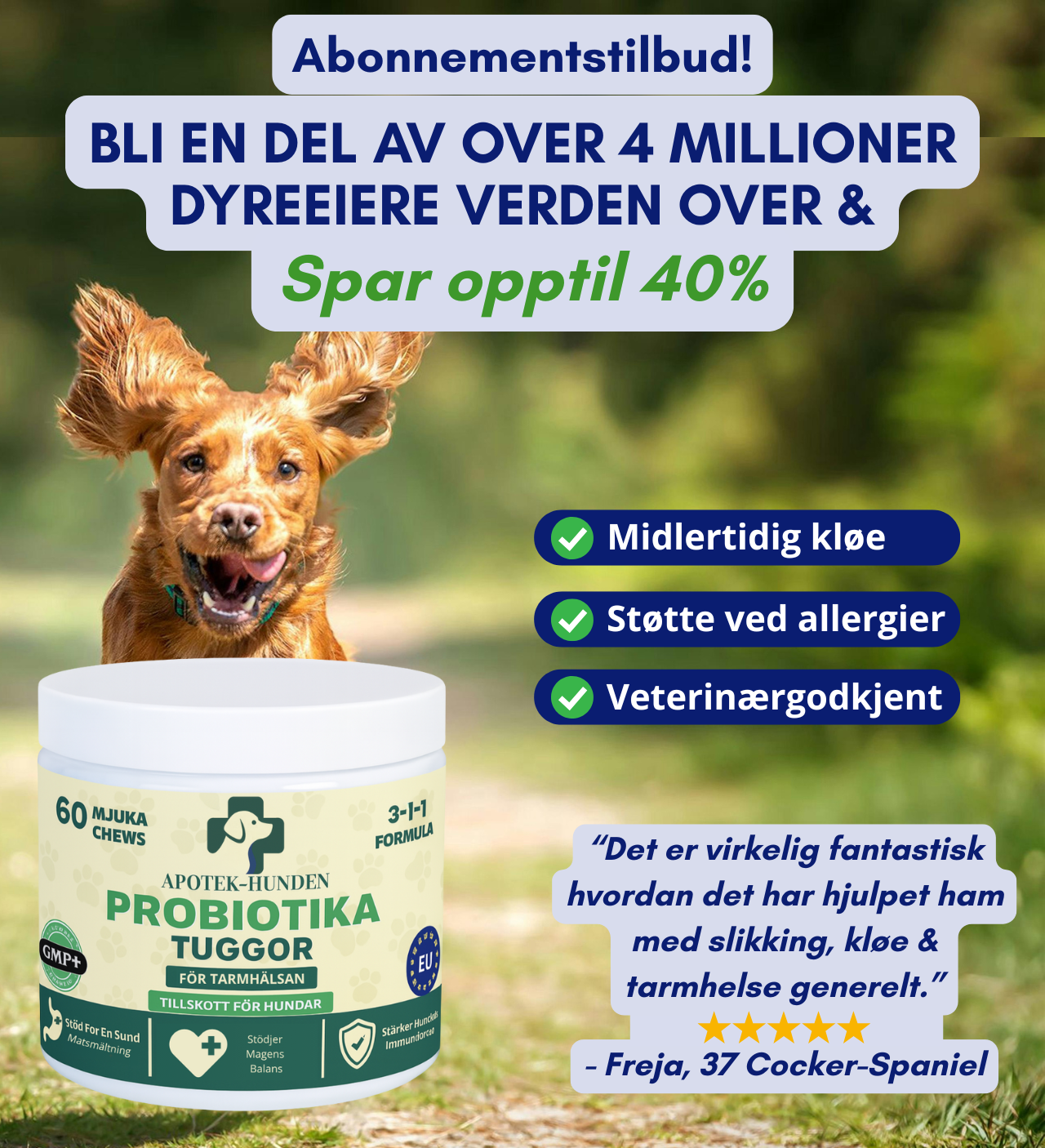 Apotek Hunden – 3-i-1 probiotika, som fremmer sunn mage, hud og energi hos hunden