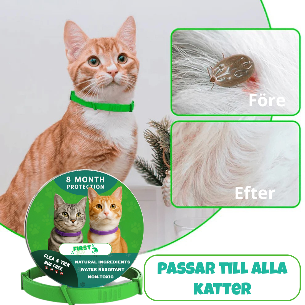 Fästinghalsband – 100% Naturligt Fästingskydd för katt