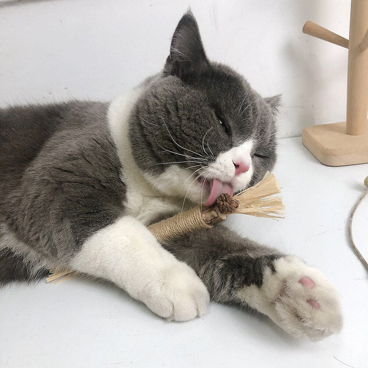 Silvervine Dental Sticks - Tandvård för katter