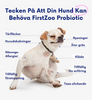 3-i-1 Probiotika Som Löser Din Hunds Mag-, Hud- & Energiproblem