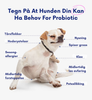 Apotek Hunden – 3-i-1 probiotika, som fremmer sunn mage, hud og energi hos hunden
