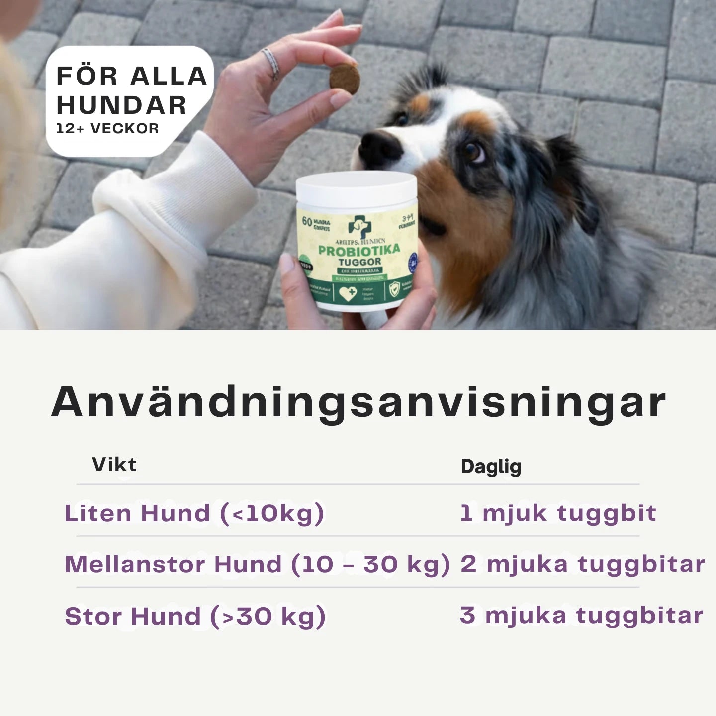 Apotek Hunden - 3-i-1 Probiotika Som Löser Din Hunds Mag-, Hud- & Energiproblem