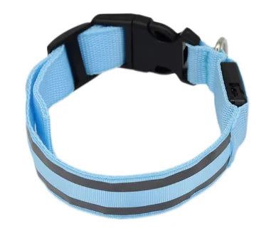 Glow Collar™ – Upplyst halsband