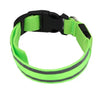 Glow Collar™ – Upplyst halsband