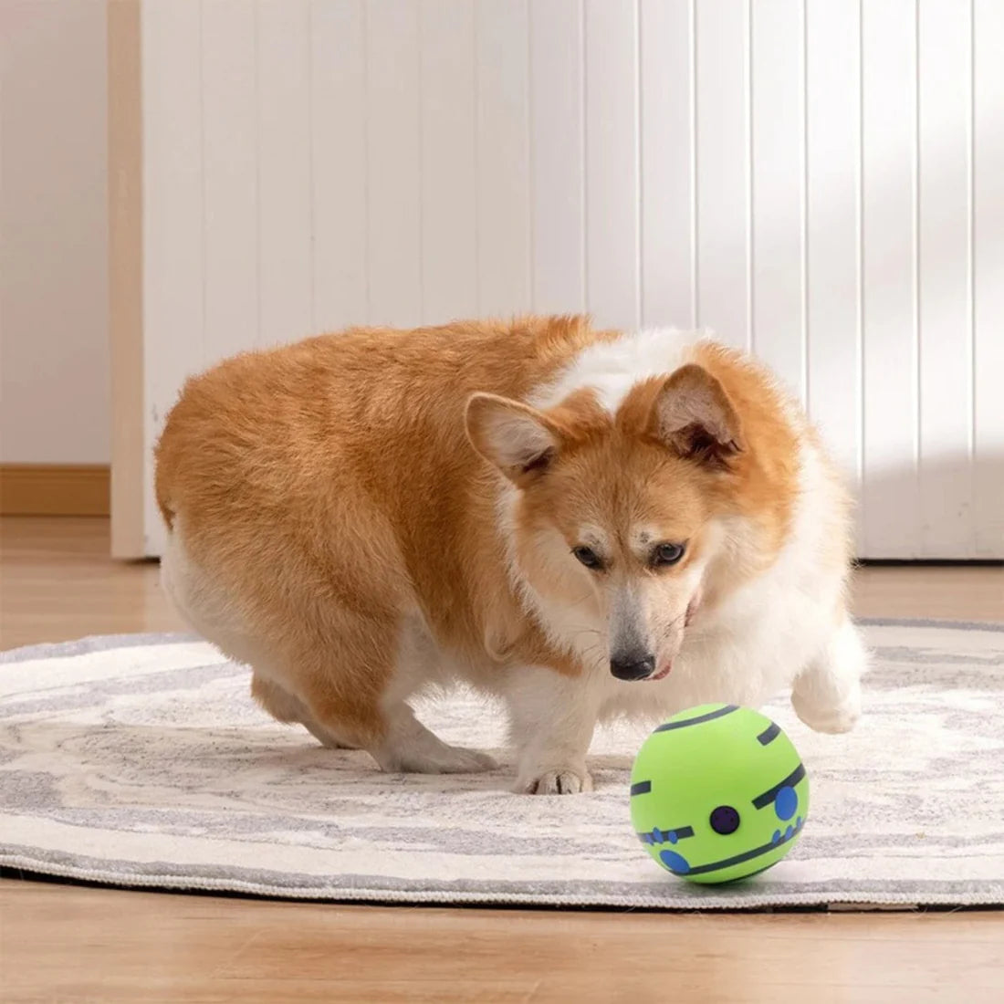 Wobble Wag Ball – Den Interaktiva Hundleksaken!
