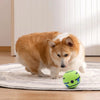 Wobble Wag Ball – Den Interaktiva Hundleksaken!