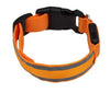 Glow Collar™ – Upplyst halsband