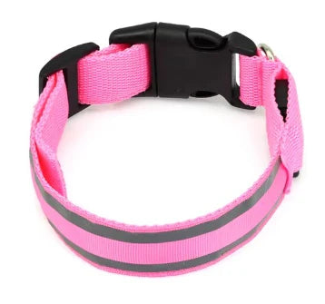 Glow Collar™ – Upplyst halsband